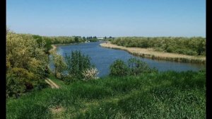 Азовское море и его обитатели.