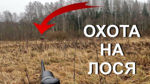 Охота НА ЛОСЯ 💥 Олень был, но...