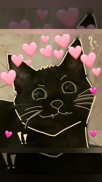 🍪КОТИКИ В ОБВОДКЕ 🥥 смотреть онлайн