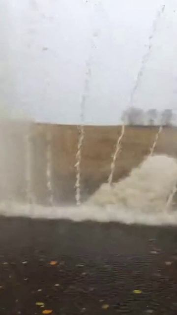 Однажды на рыбалке7 смотреть онлайн