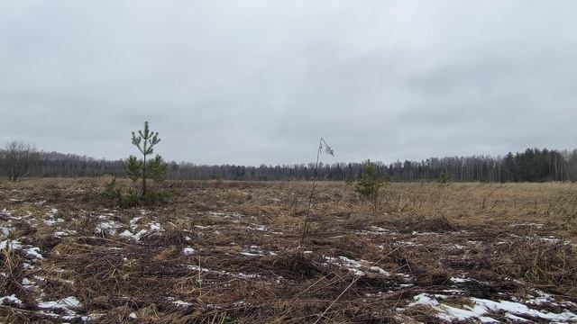 Поле. ч.1. Ноябрь 2025 смотреть онлайн