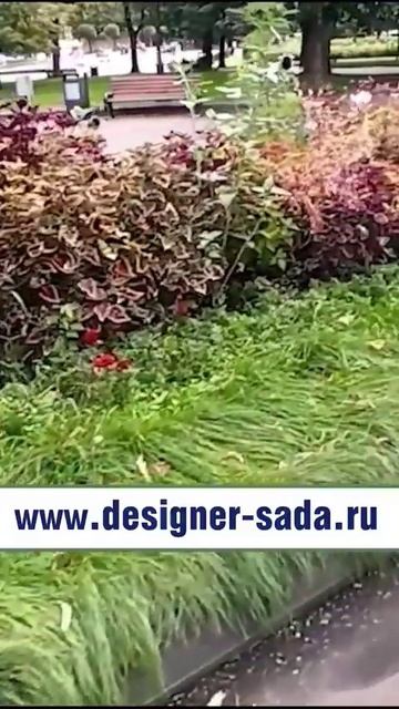 1-й ВЫПУСК ВИДЕО ЖУРНАЛА PRO-ЦВЕТНИКИ #design #ландшафтныйдизайн #garden #уходзасадом #youtubeshorts смотреть онлайн