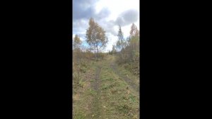 Границы участка (672)