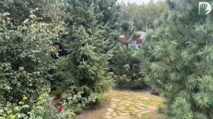 Видео журнал "СОФ №153" - МАЛЕНЬКИЙ САД. ВАЖНЫЙ ОПЫТ и РАБОТА НАД ОШИБКАМИ