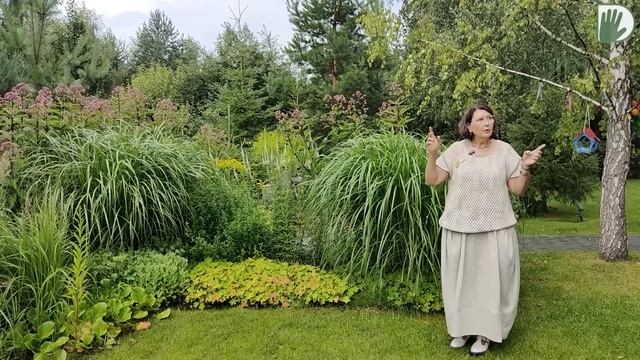 "САДЫ со ВКУСОМ" от Ирины Сахаровой. «САД в КРАСИВЫХ ДЕКОРАЦИЯХ». Особенности планировки и дизайна смотреть онлайн