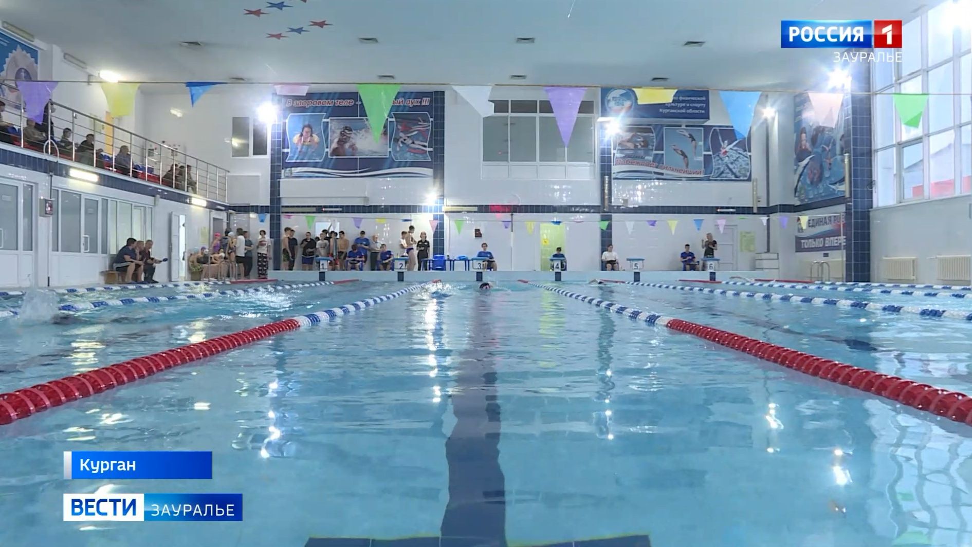 В Кургане прошёл заключительный этап Кубка области по плаванию смотреть онлайн