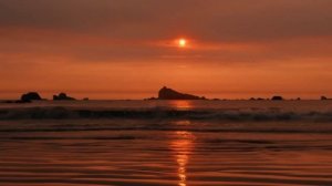 Красивые нашиды без музыки 2025