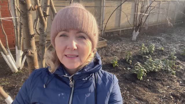 Розы и виноград утеплили// на ужин курник //💁 смотреть онлайн