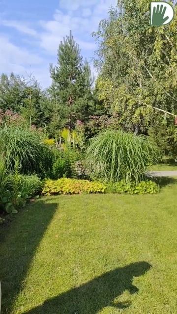 САД со ВКУСОМ! Уже на нашем канале! #youtubeshorts #ландшафтныйдизайн #design #garden #уходзасадом смотреть онлайн