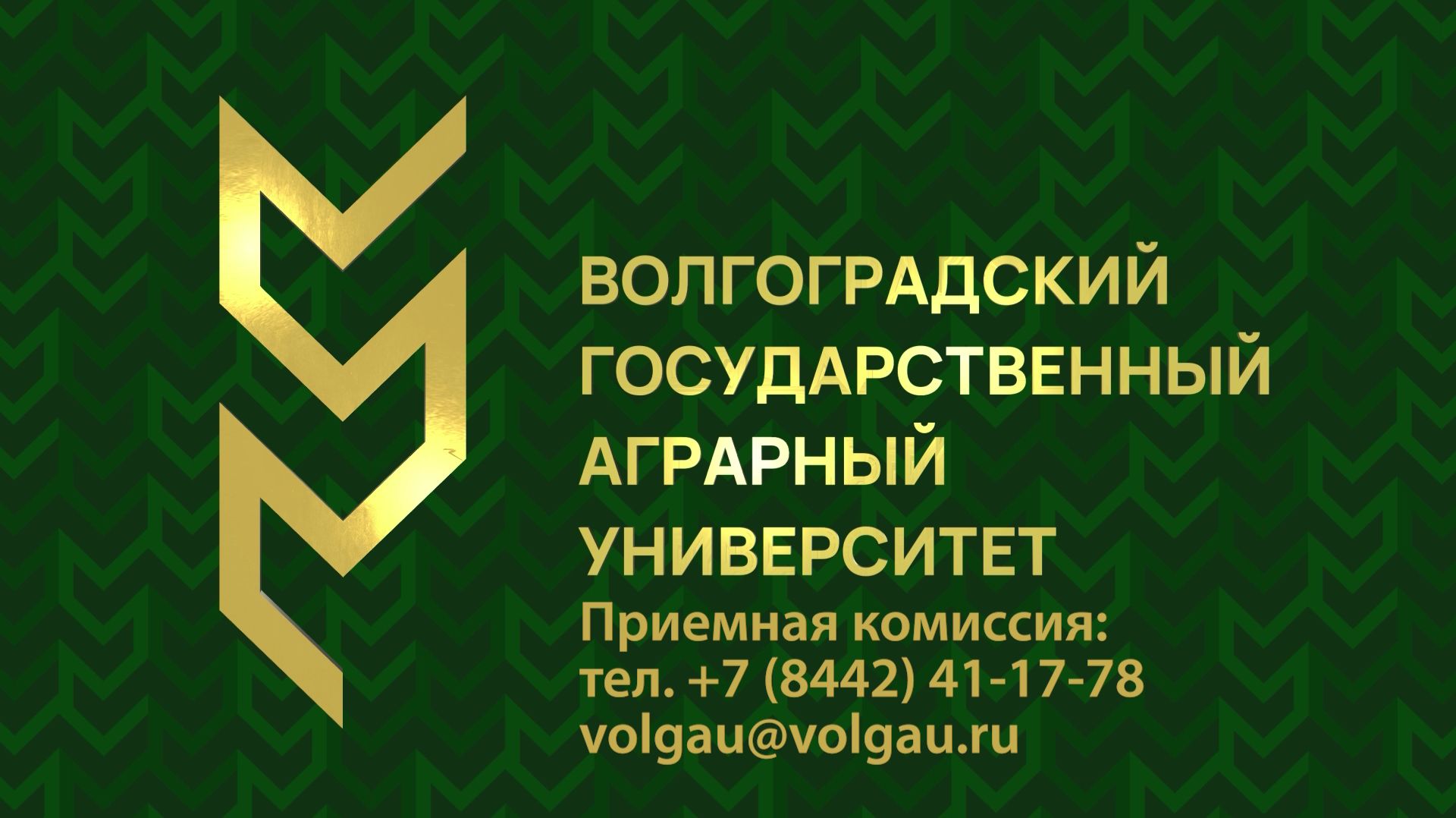 День открытых дверей в ВолГАУ смотреть онлайн