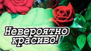 DIY Сорняки в доме. Вспоминаю о лете. Мастер-класс