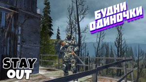 🔴Дед- охотник в деле😁⚡Сталкер онлайн⚡StayOut⚡Steam EU-1