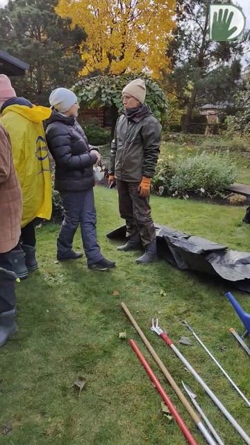 Осенняя практика в ЧАСТНЫХ САДАХ #youtubeshorts #ландшафтныйдизайн #design #garden #уходзасадом смотреть онлайн