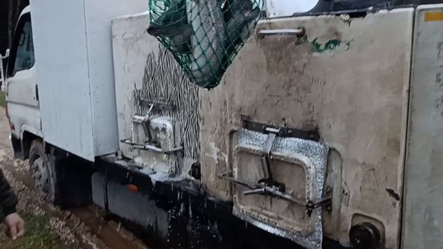 Forest Fishing 01.12.25