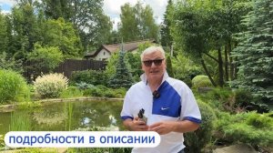 Видео журнал "СОФ №126"  ЛЕСНОЙ УЧАСТОК и наши садовые помощники