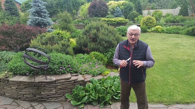 Видео журнал "СОФ №100" Тот самый сад -"ВОЛНЫ и КРУГИ"!Юбилейный выпуск! смотреть онлайн