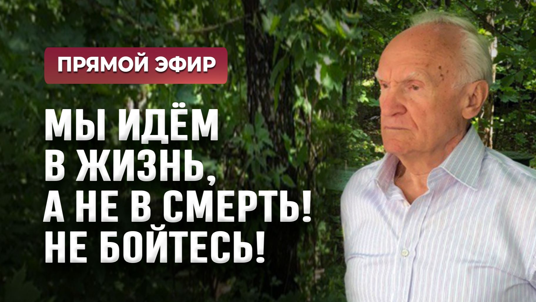 Мы идём в жизнь, а не в смерть! Не бойтесь! (Прямой эфир, 30.11.2025) / Осипов Алексей Ильич смотреть онлайн