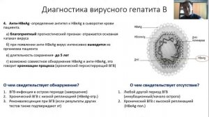 Вирусные гепатиты (лабораторная диагностика). Лекция для студента и практикующего врача.