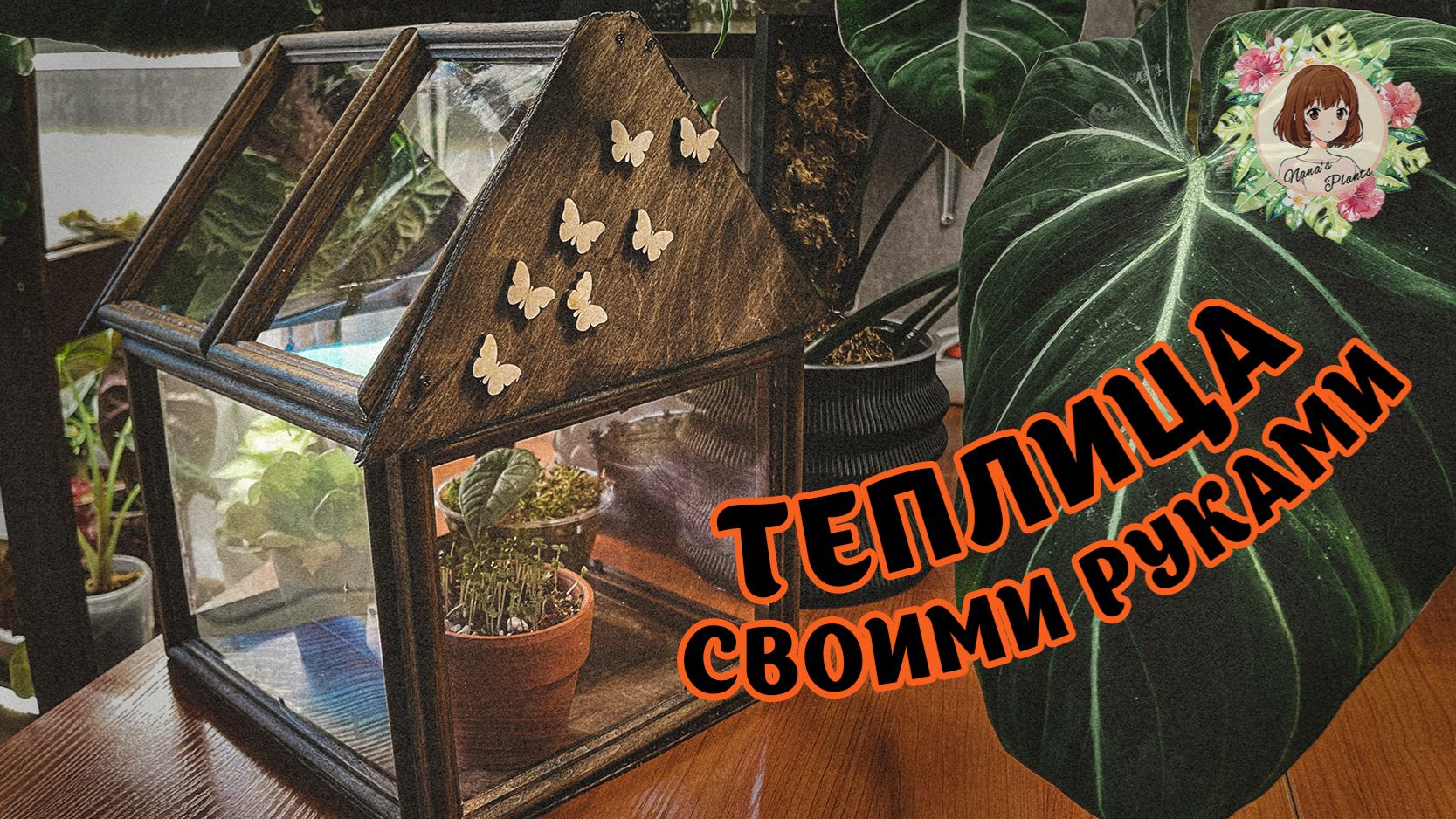 ТЕПЛИЦА ИЗ ФОТОРАМОК: ИНСТРУКЦИЯ ОТ ЧАЙНИКА #растения #теплица #plants #greenhouse #handmade