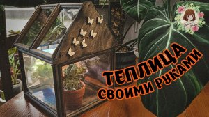 ТЕПЛИЦА ИЗ ФОТОРАМОК: ИНСТРУКЦИЯ ОТ ЧАЙНИКА #растения #теплица #plants #greenhouse #handmade