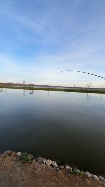 Из-за чего снимаются тройники с воблеров? Спортивная рыбалка смотреть онлайн