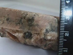 Андрей Скляров: Результаты лабораторных исследований