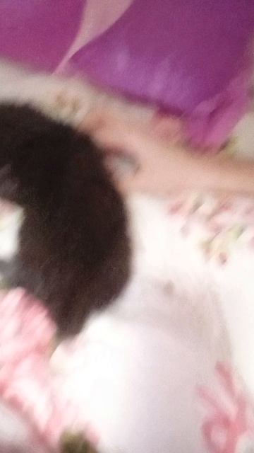 толстые УЗИ