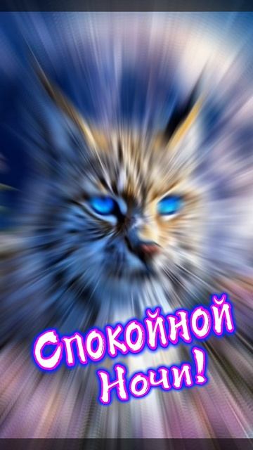 Спокойной ночи 🌙