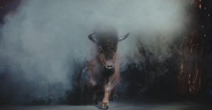 Промо шоу Гии Эрадзе "5 континентов", г. Пермь 2025-2026