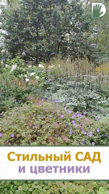 Новый выпуск авторской программы Ирины САХАРОВОЙ! #design #garden #youtubeshorts #ландшафтныйдизайн смотреть онлайн