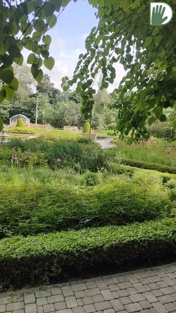 СОКОЛЬНИКИ БЕСЕДКА С АКТИНИДИЕЙ #garden #youtubeshorts #ландшафтныйдизайн #ландшафтныйдизайн #design смотреть онлайн