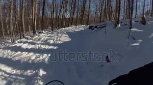 Тест рекламы 11