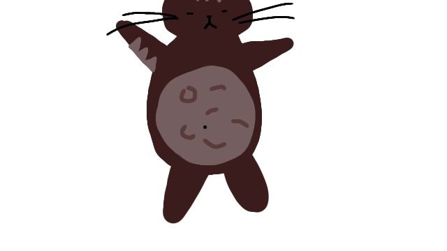 АНИМАЦИЯ МОЕГО КОТА🥥🐾 смотреть онлайн