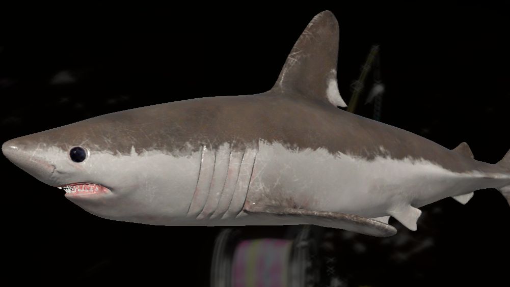 РР 4! Фарм на море 41 банка !!!