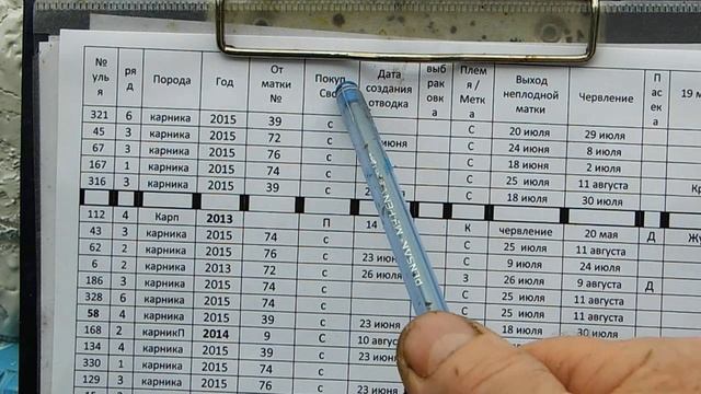 Пасечный журнал смотреть онлайн