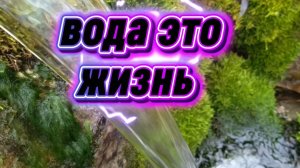 Освещённый источник 💧 у реки Скнига Тульская область. Пополнили запасы 💧