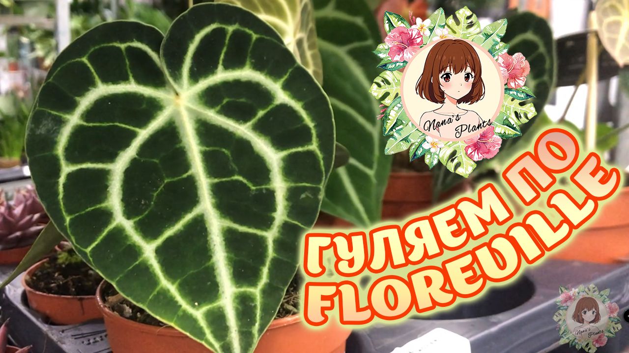 Прогулка по «Флоревиллю» | АНОНС РОЗЫГРЫША | Редкие экзотические растения