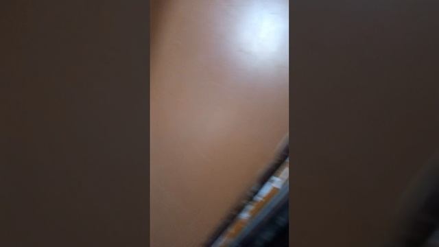 2 день жизни