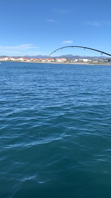 Ловим мерланга в Сириусе. смотреть онлайн