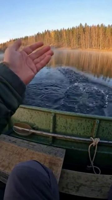 Однажды на рыбалке 6 смотреть онлайн