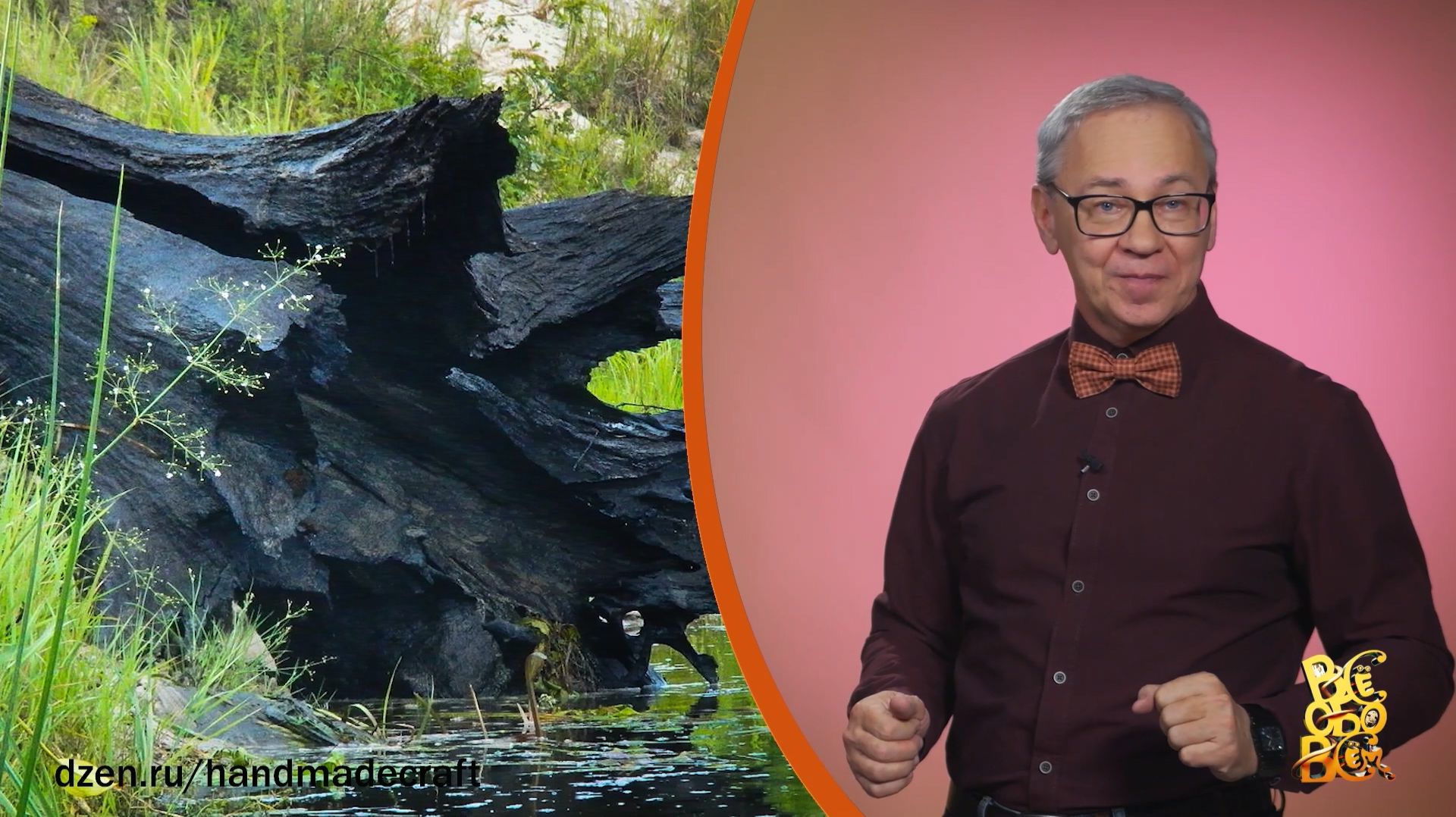 Всё обо всём. Морёный дуб. Выпуск от 01.12.25 смотреть онлайн