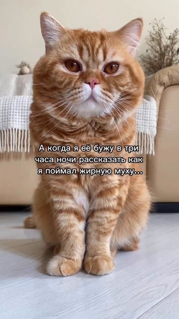 Несправедливо😄 смотреть онлайн