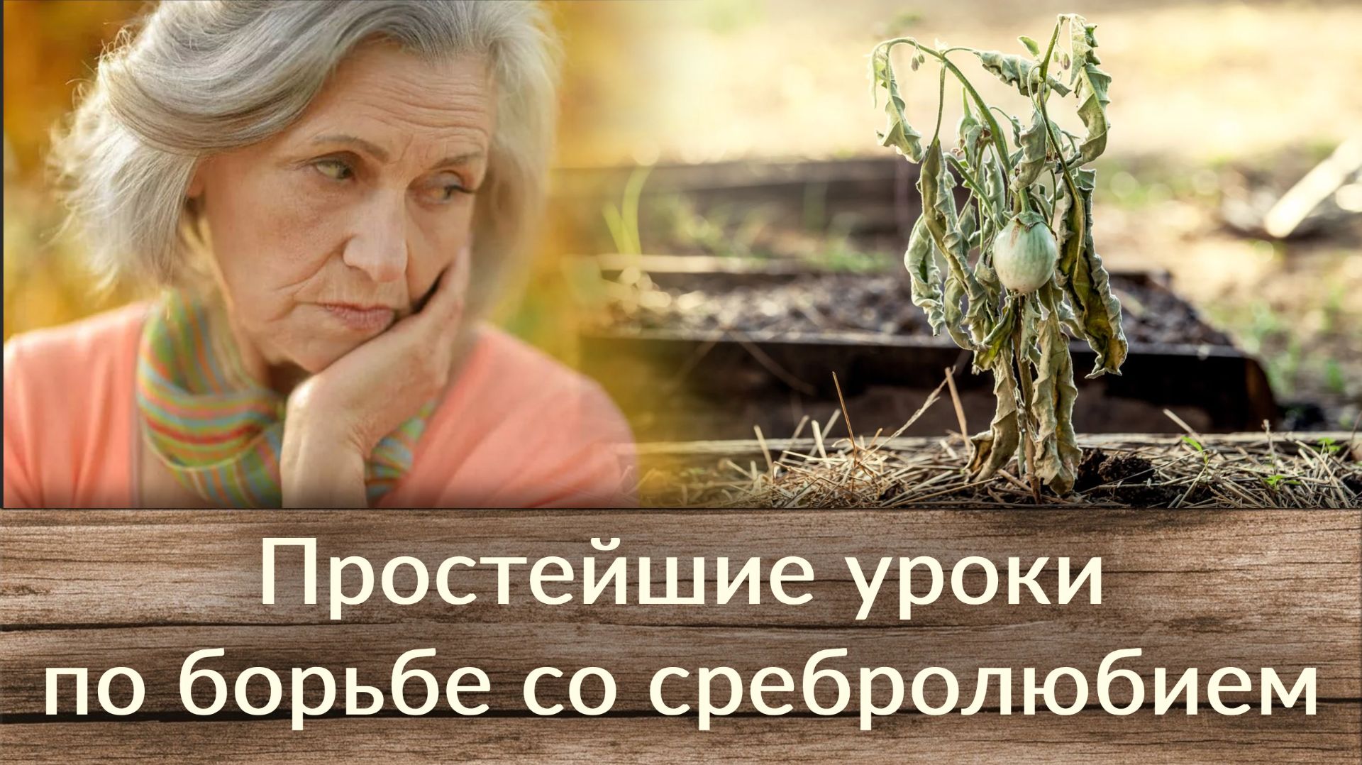 Простейшие уроки по борьбе со сребролюбием смотреть онлайн