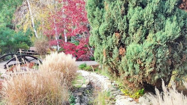 Анапа Золотые пески Ноябрь 2025 Часть 1 смотреть онлайн