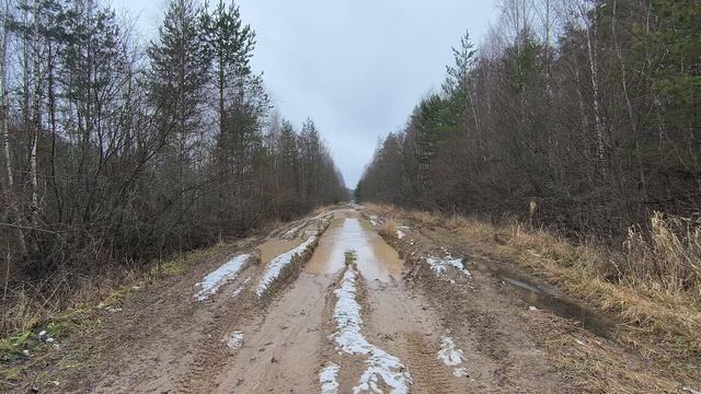 Разбитая лесная дорога. ч.1. Ноябрь 2025 смотреть онлайн