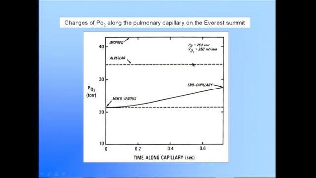West 14 Дыхание в условиях Эвереста