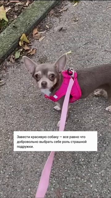 Красивая подружка