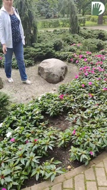 Теневая композиция в городской среде #design #garden #youtubeshorts #ландшафтныйдизайн смотреть онлайн