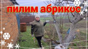 Александровка. Пилим абрикос. Осенние костры.  Ремонт в Ейске...