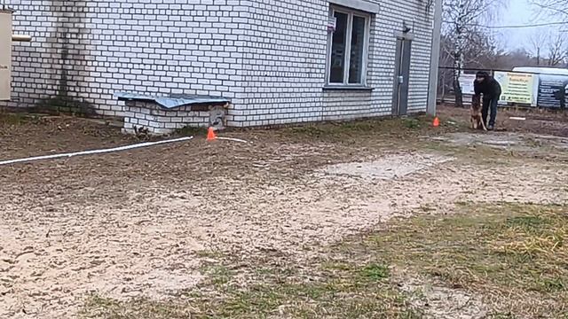 6. выражено/пож ЖДАНА ИЗ ДРУЖИНЫ ПЕРЕСВЕТА (Helios di Fosco Aidas – Зара Атом) смотреть онлайн